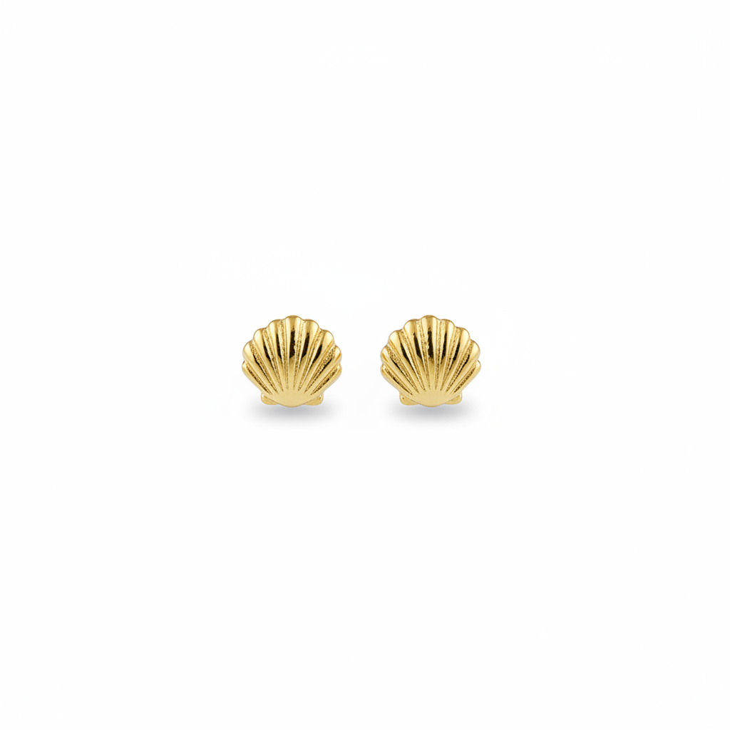 Shell stud earrings on white background